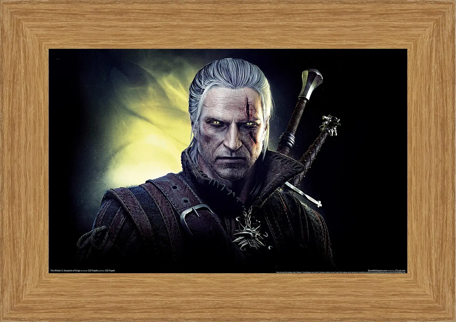 Картина в раме - The Witcher 2: Assassins Of Kings