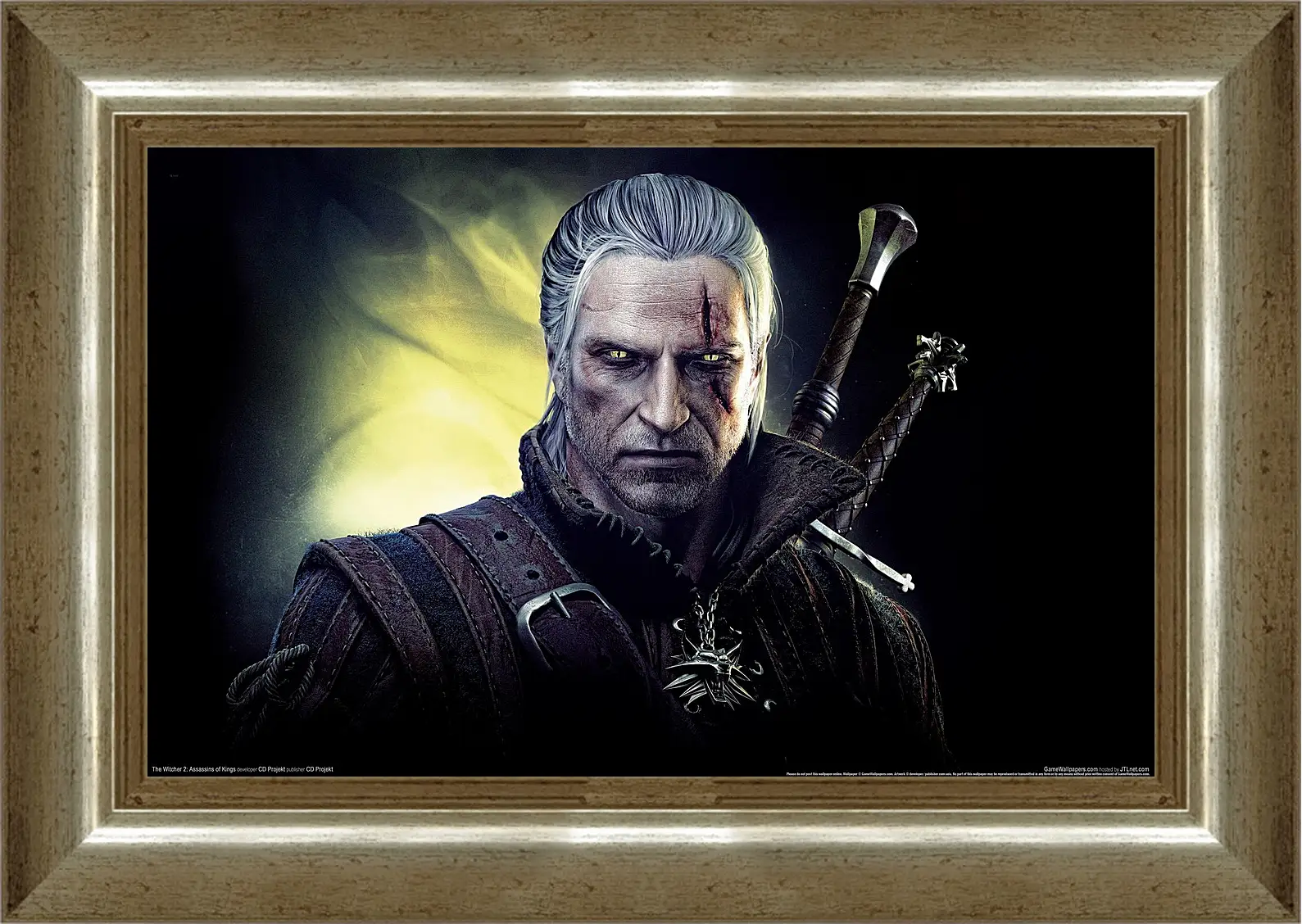 Картина в раме - The Witcher 2: Assassins Of Kings