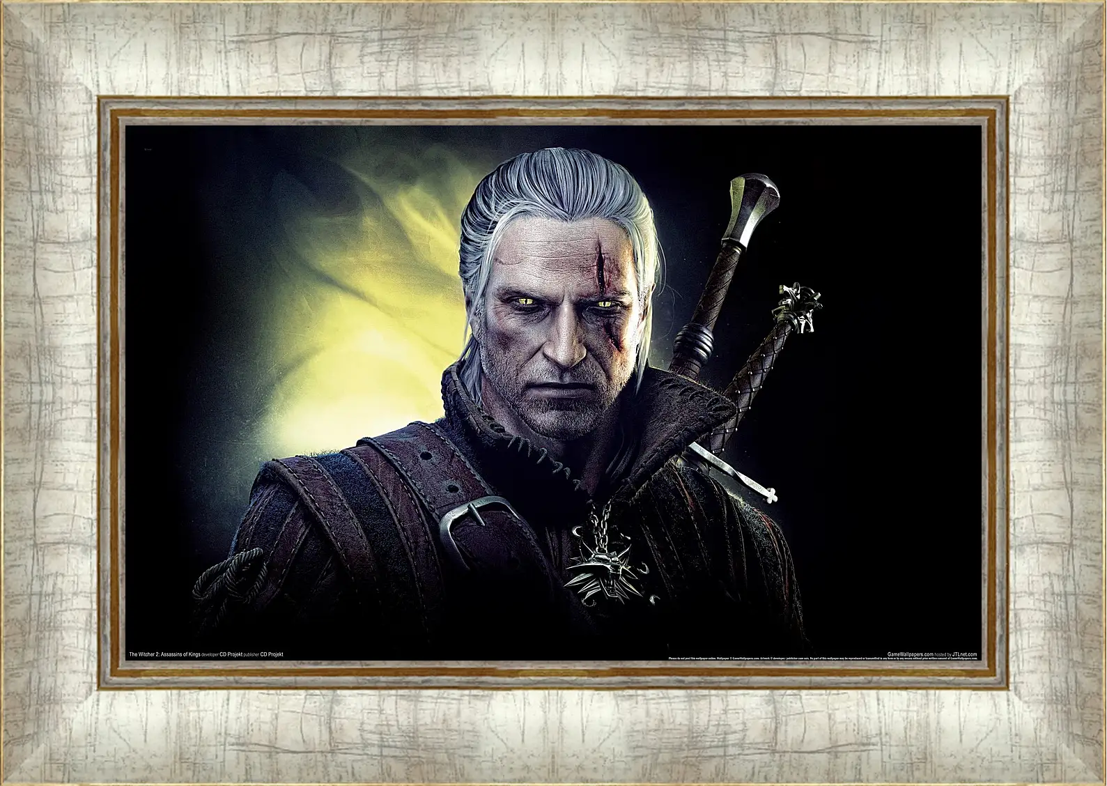 Картина в раме - The Witcher 2: Assassins Of Kings