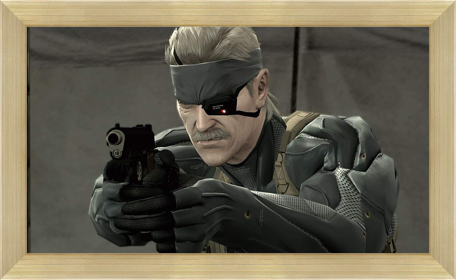 Картина в раме - Metal Gear
