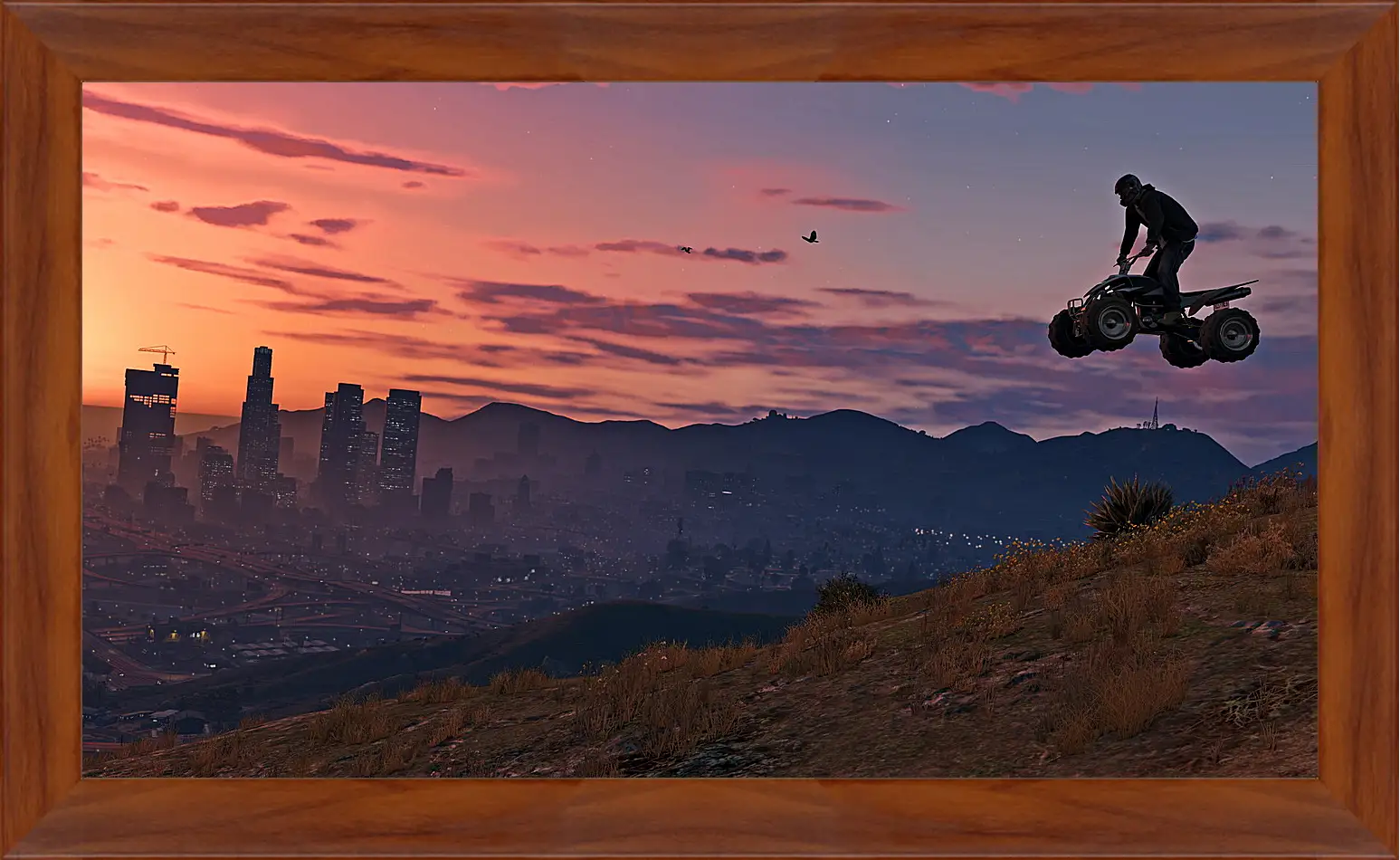 Картина в раме - Grand Theft Auto V
