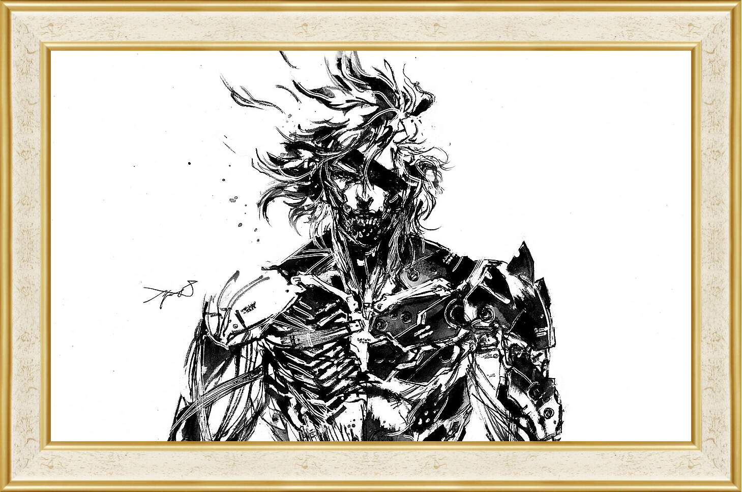 Картина в раме - Metal Gear Rising: Revengeance
