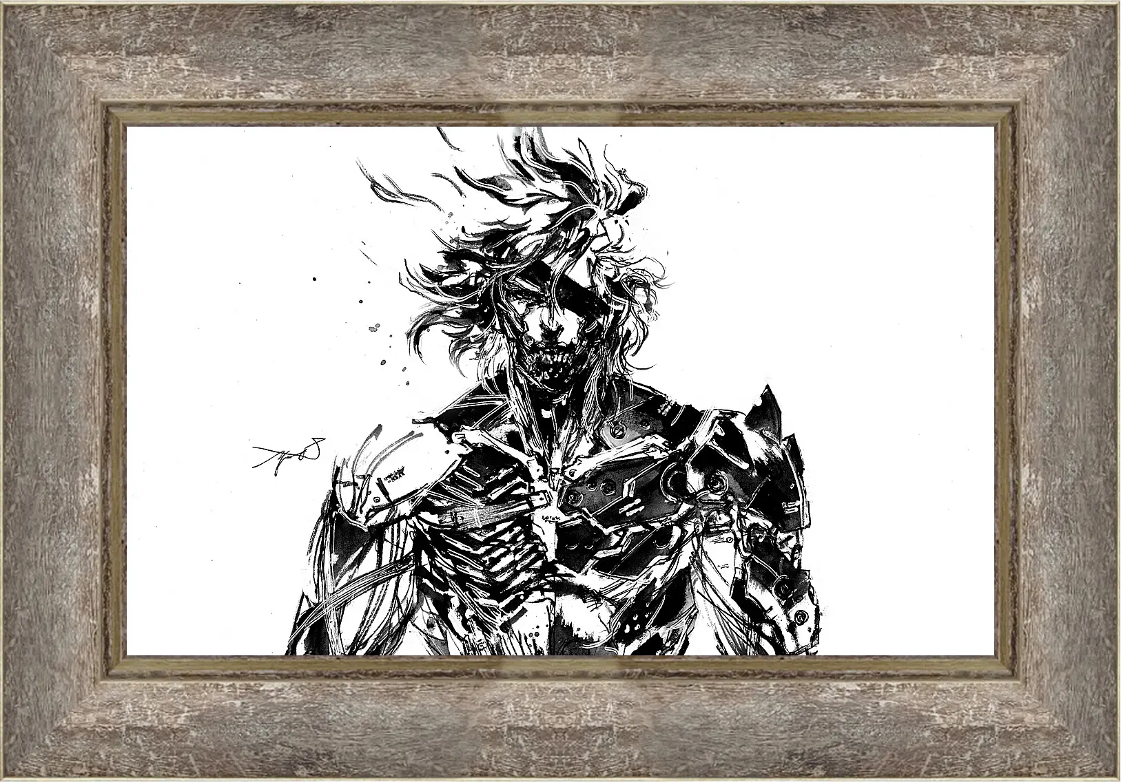 Картина в раме - Metal Gear Rising: Revengeance
