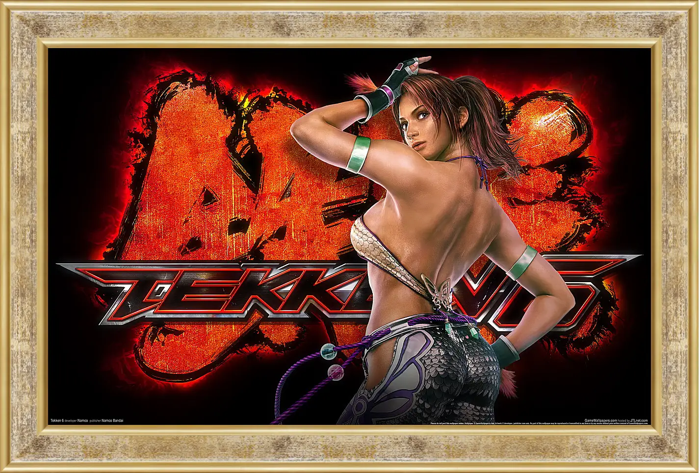 Картина в раме - Tekken 6
