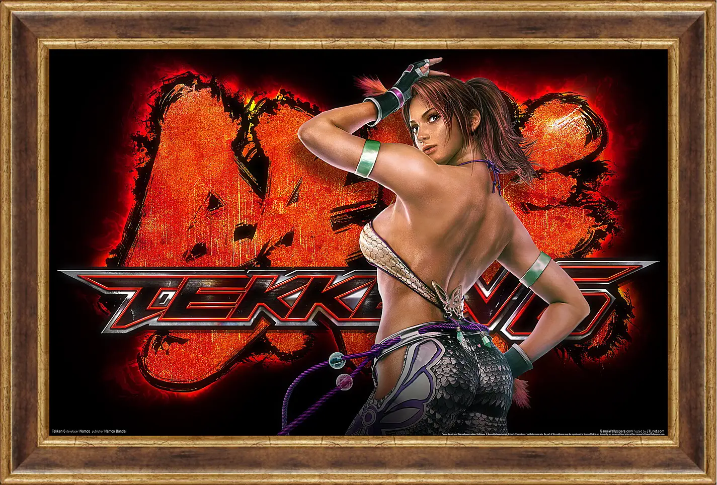 Картина в раме - Tekken 6
