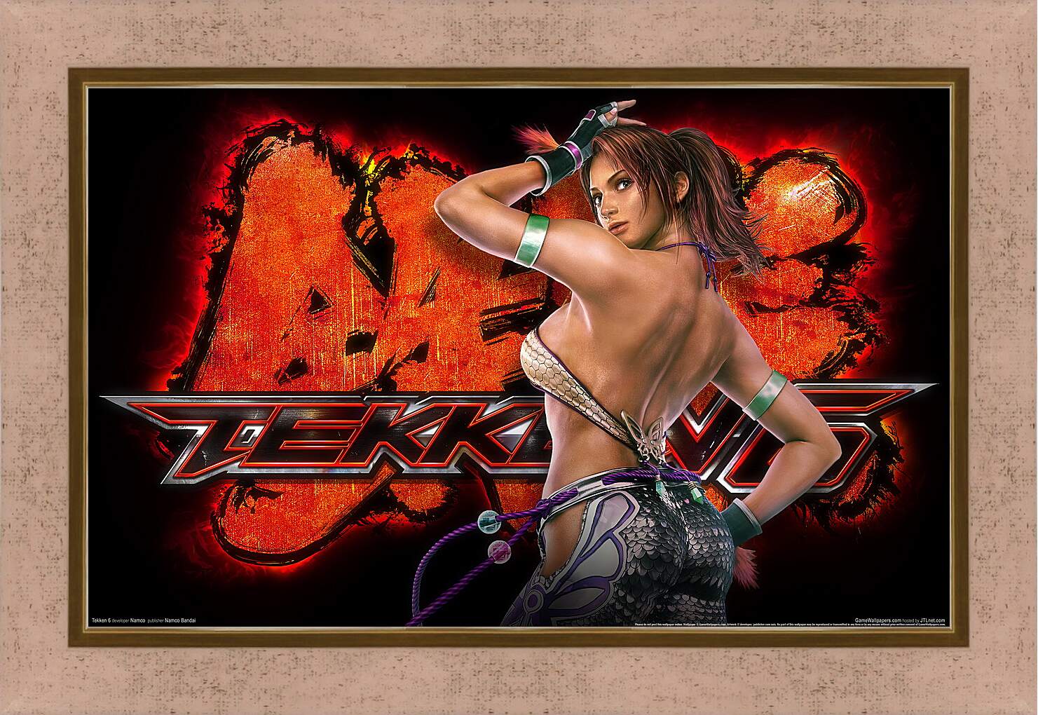 Картина в раме - Tekken 6
