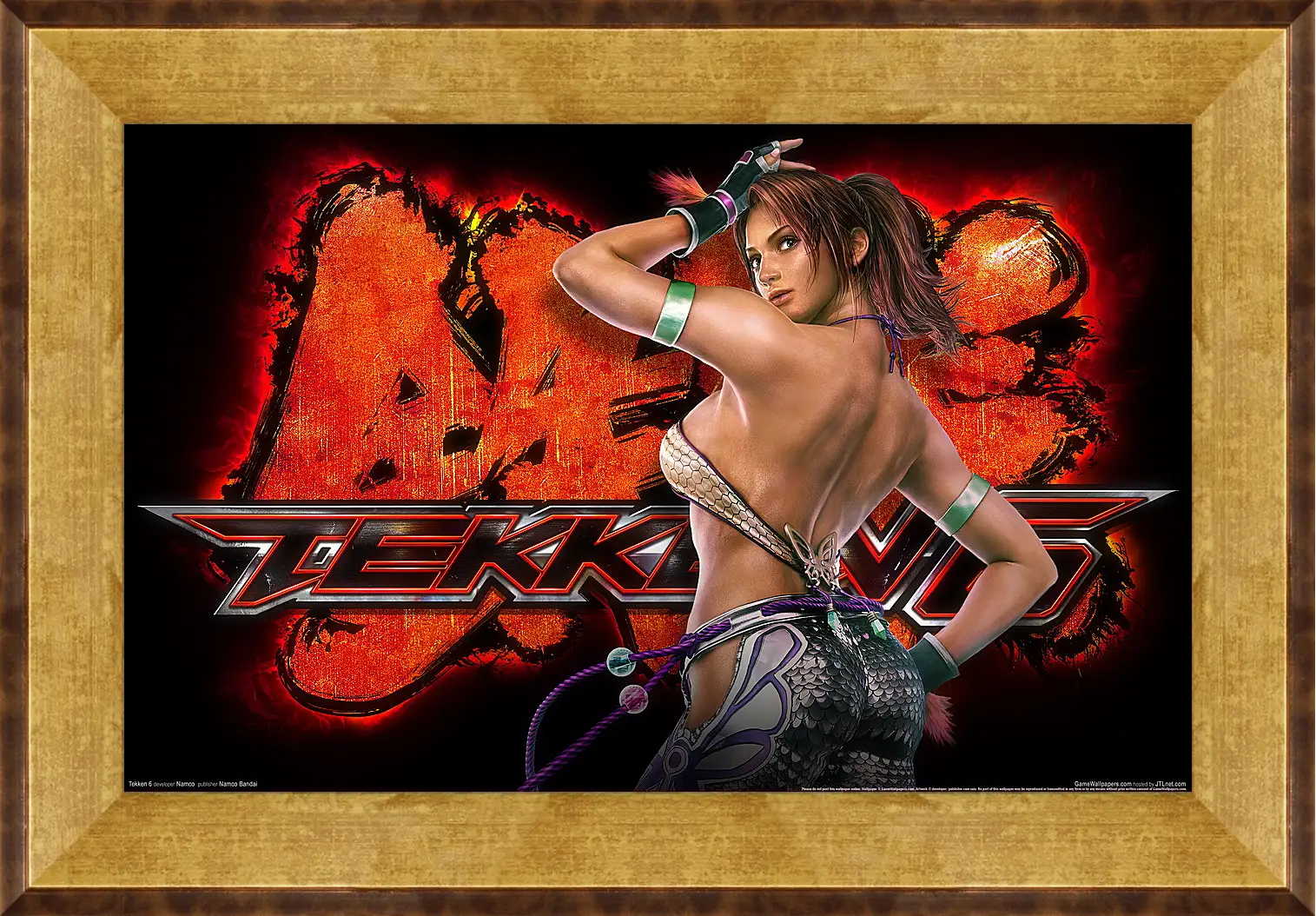 Картина в раме - Tekken 6
