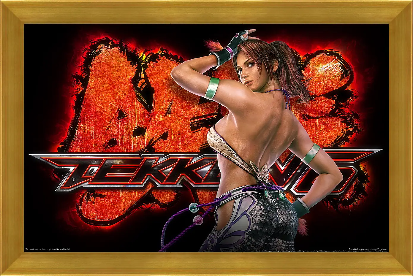 Картина в раме - Tekken 6
