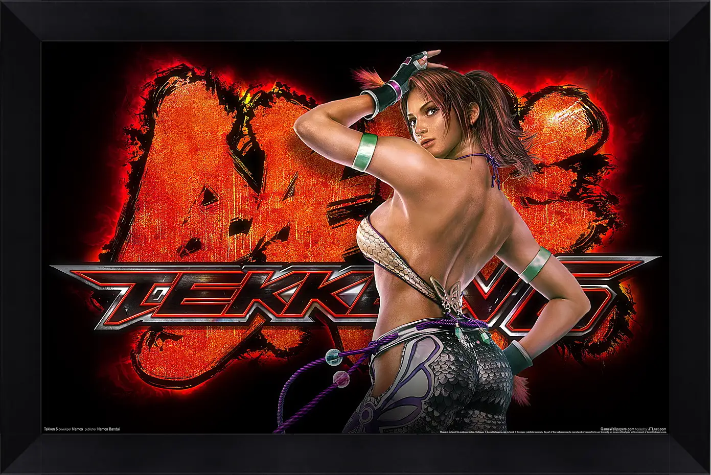 Картина в раме - Tekken 6
