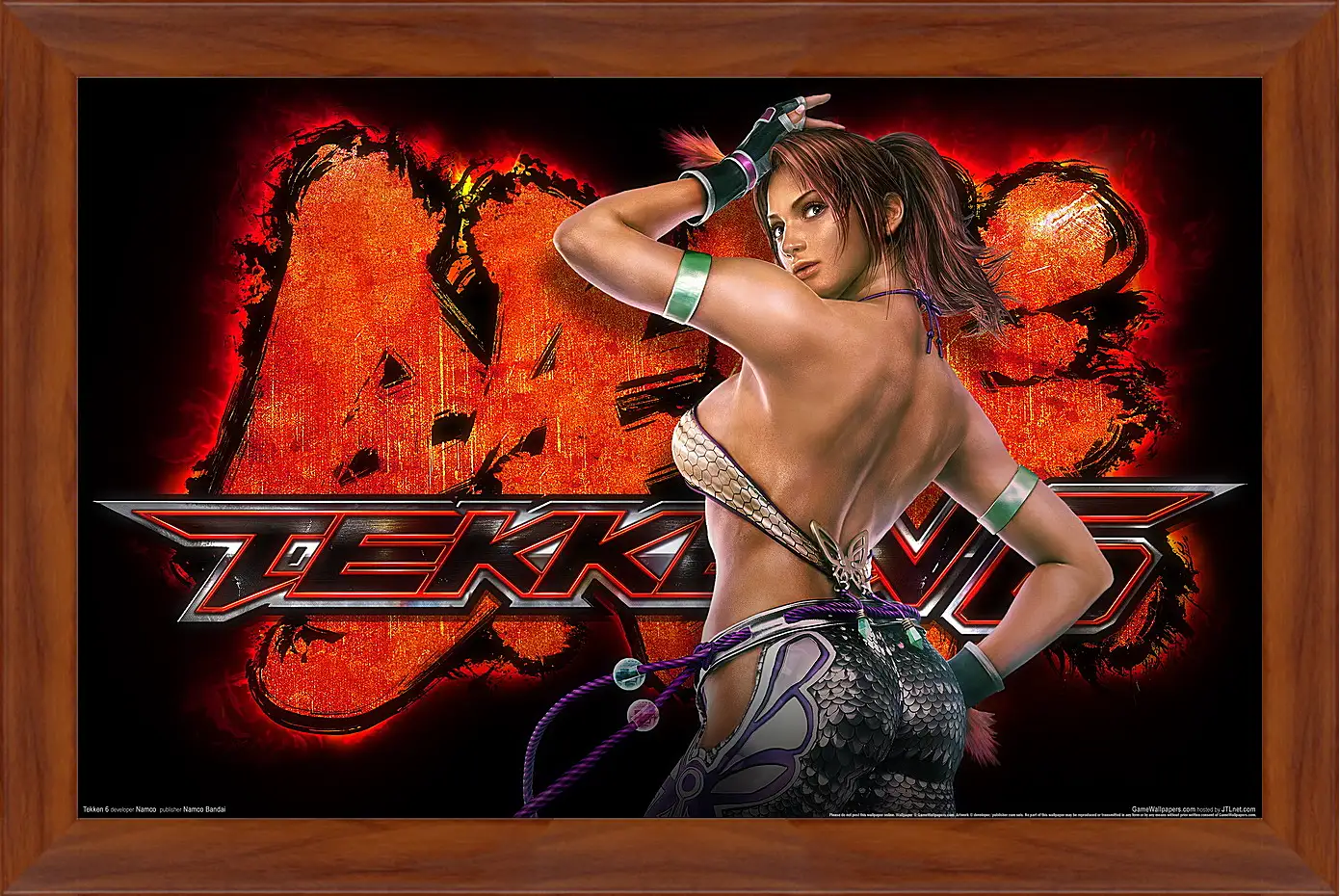 Картина в раме - Tekken 6
