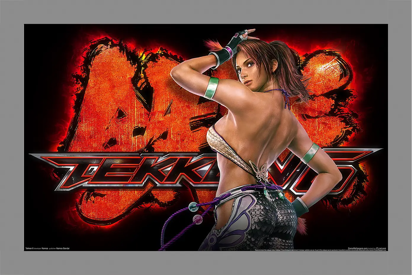 Картина в раме - Tekken 6
