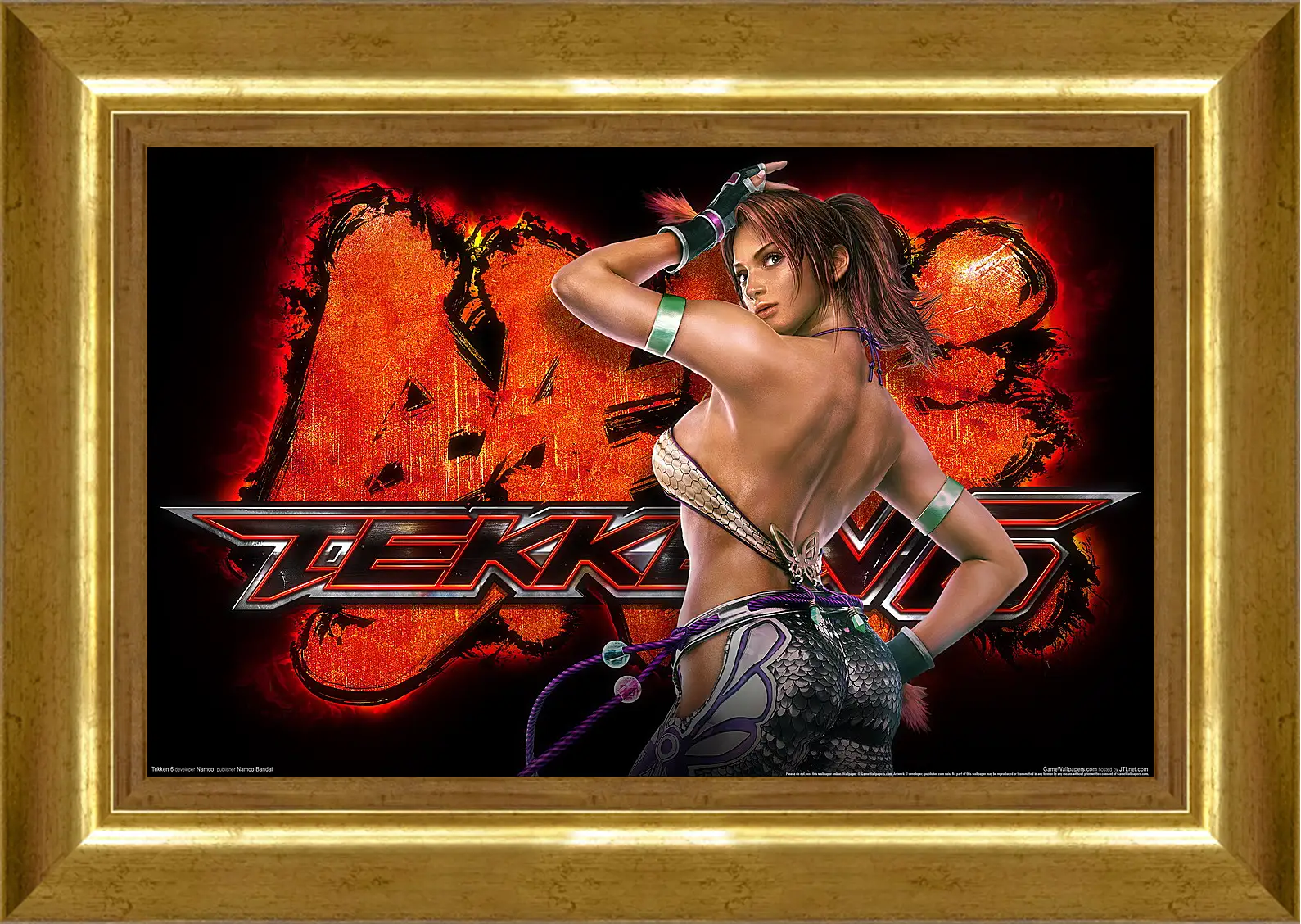 Картина в раме - Tekken 6
