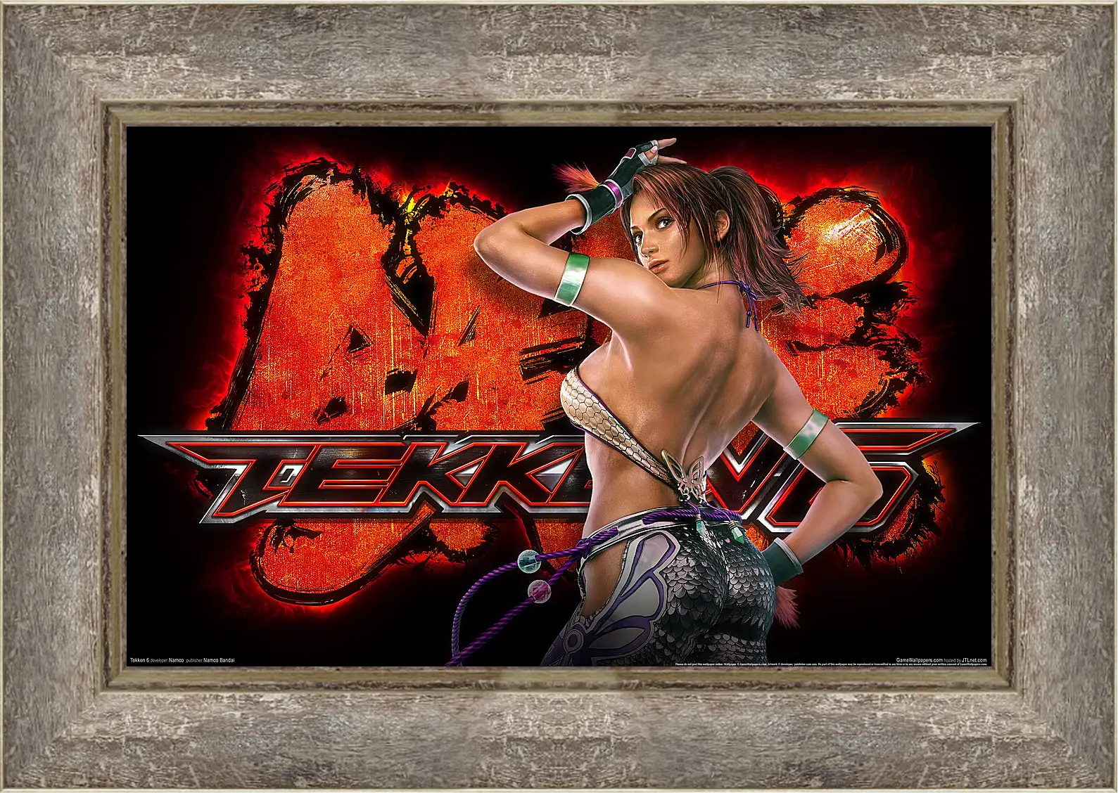 Картина в раме - Tekken 6
