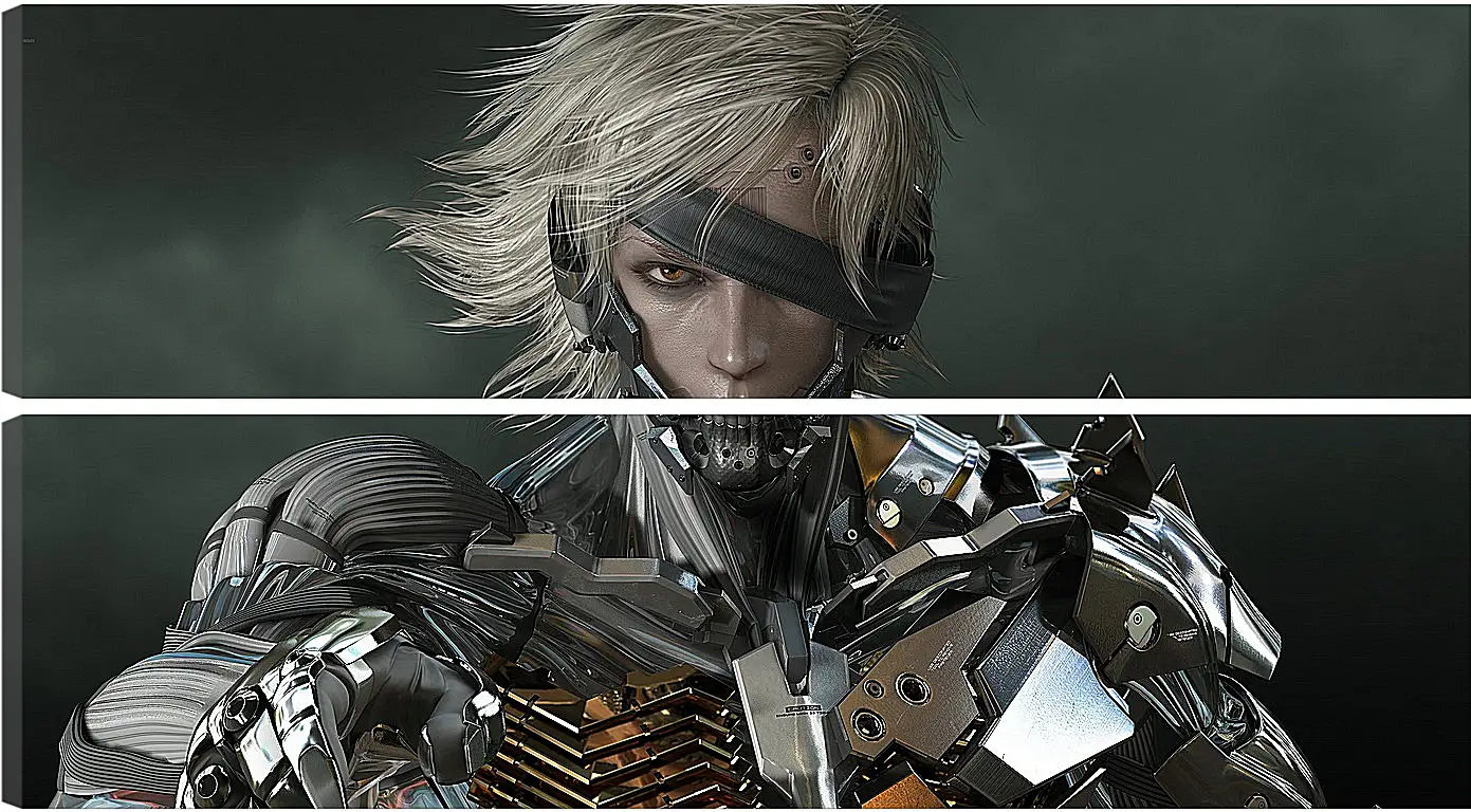 Модульная картина - Metal Gear Rising: Revengeance
