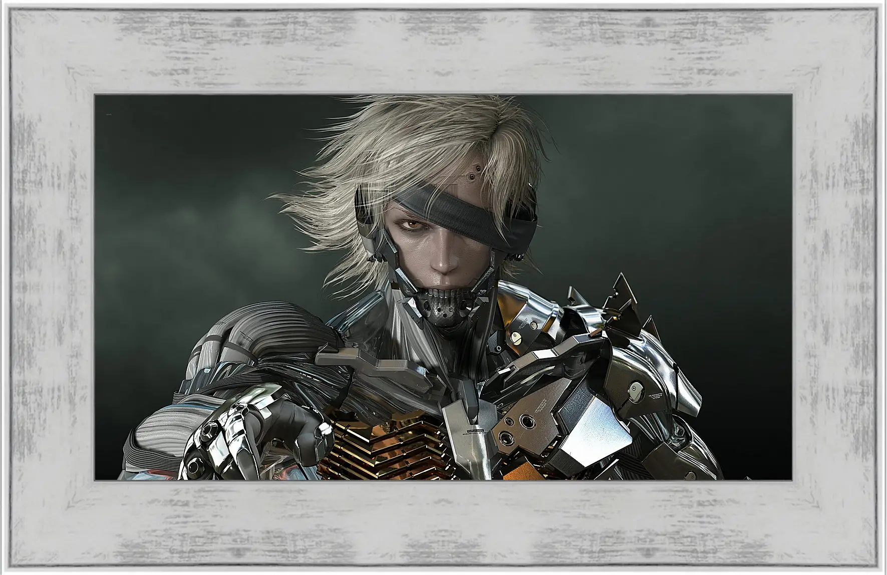 Картина в раме - Metal Gear Rising: Revengeance
