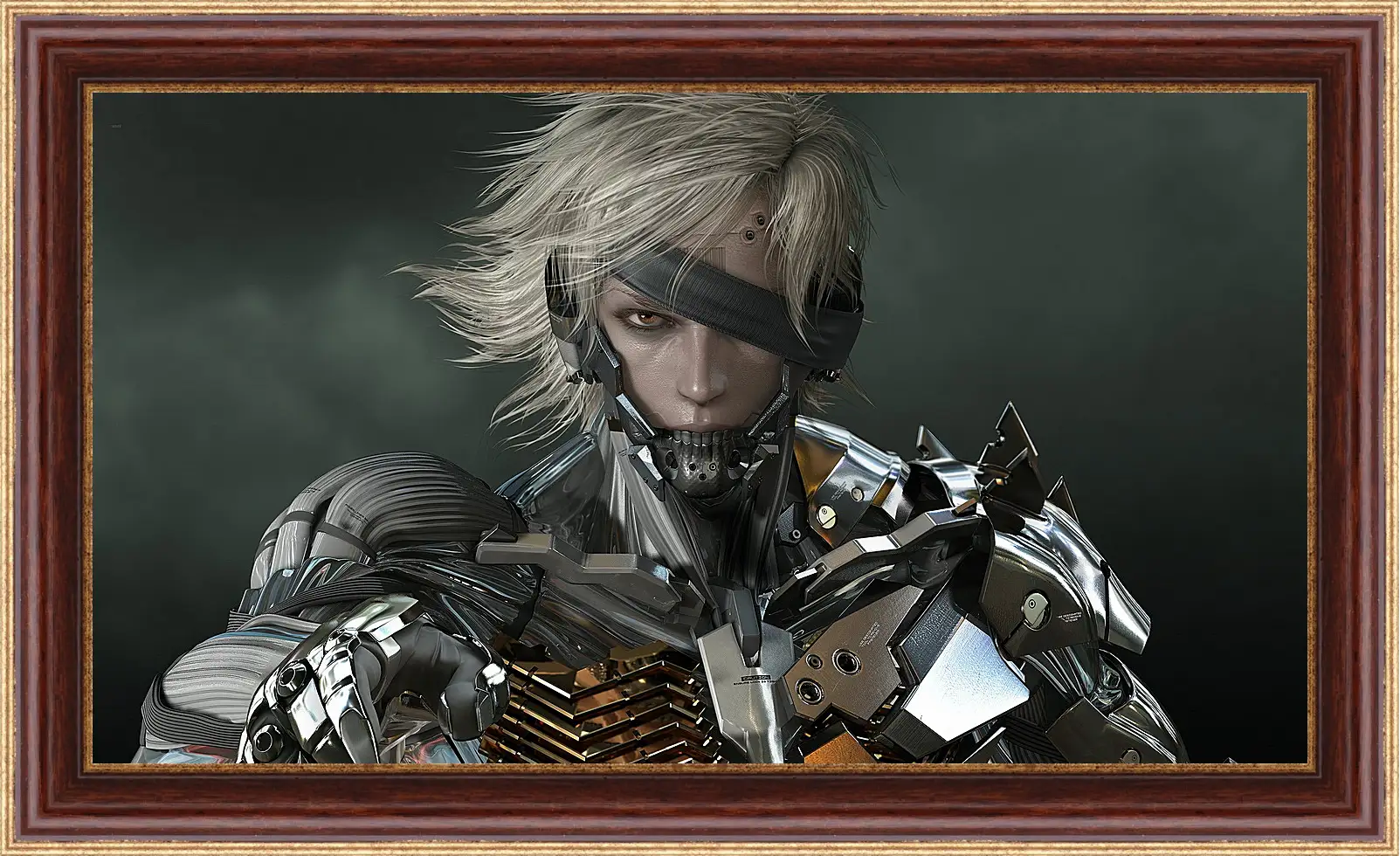Картина в раме - Metal Gear Rising: Revengeance
