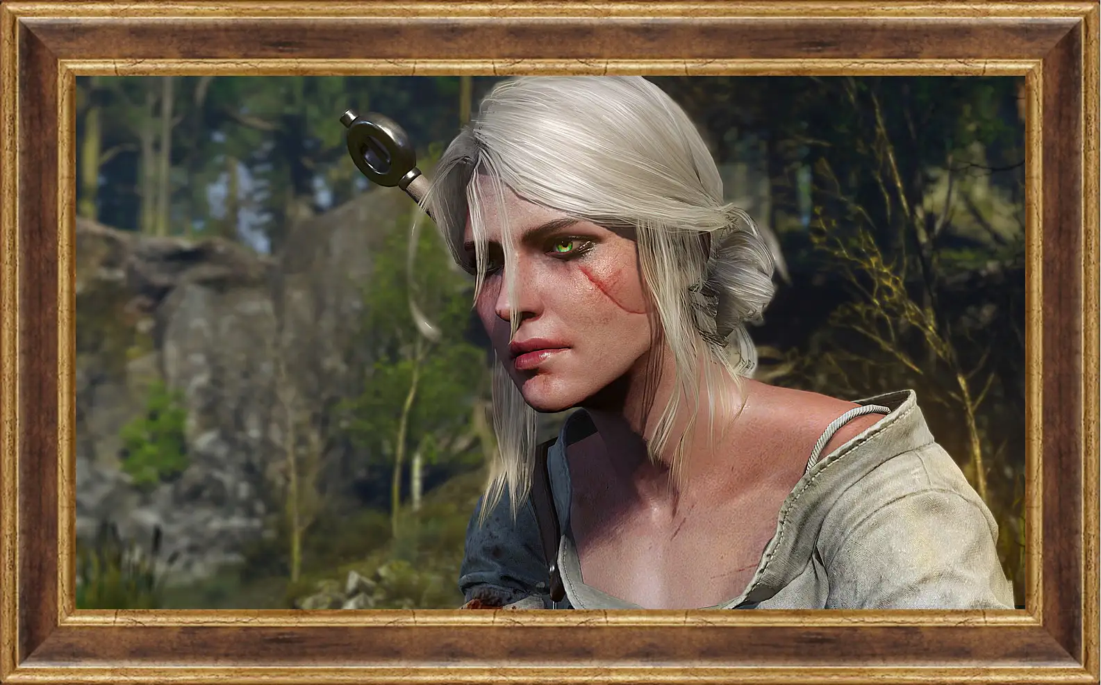 Картина в раме - The Witcher 3: Wild Hunt