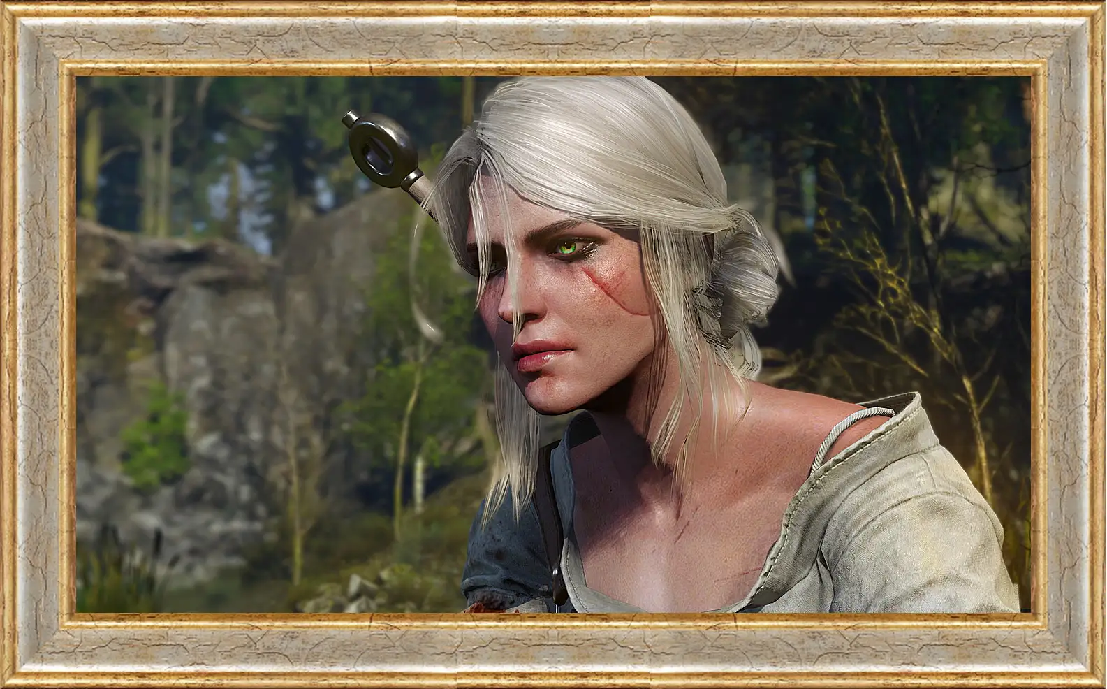 Картина в раме - The Witcher 3: Wild Hunt