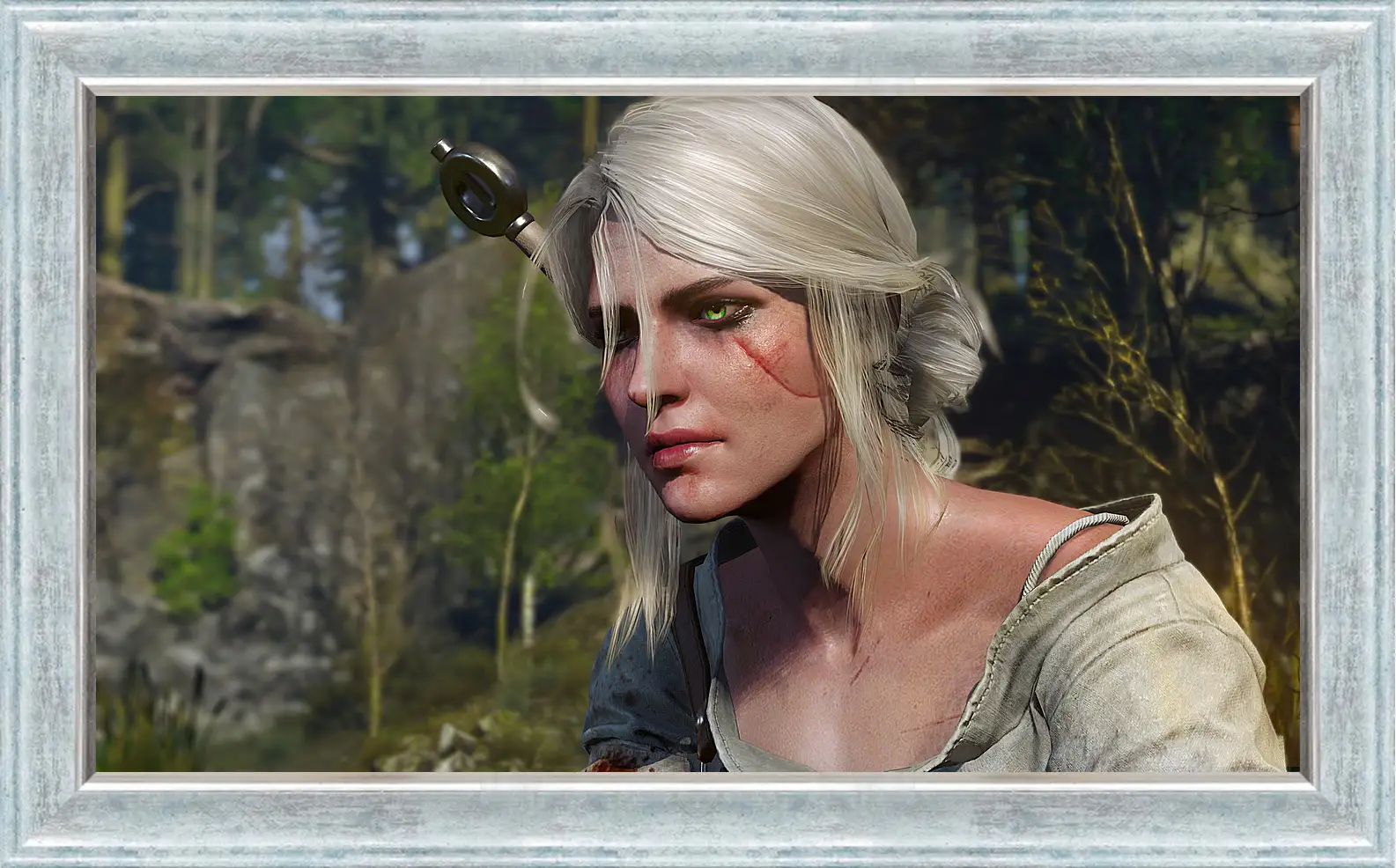 Картина в раме - The Witcher 3: Wild Hunt