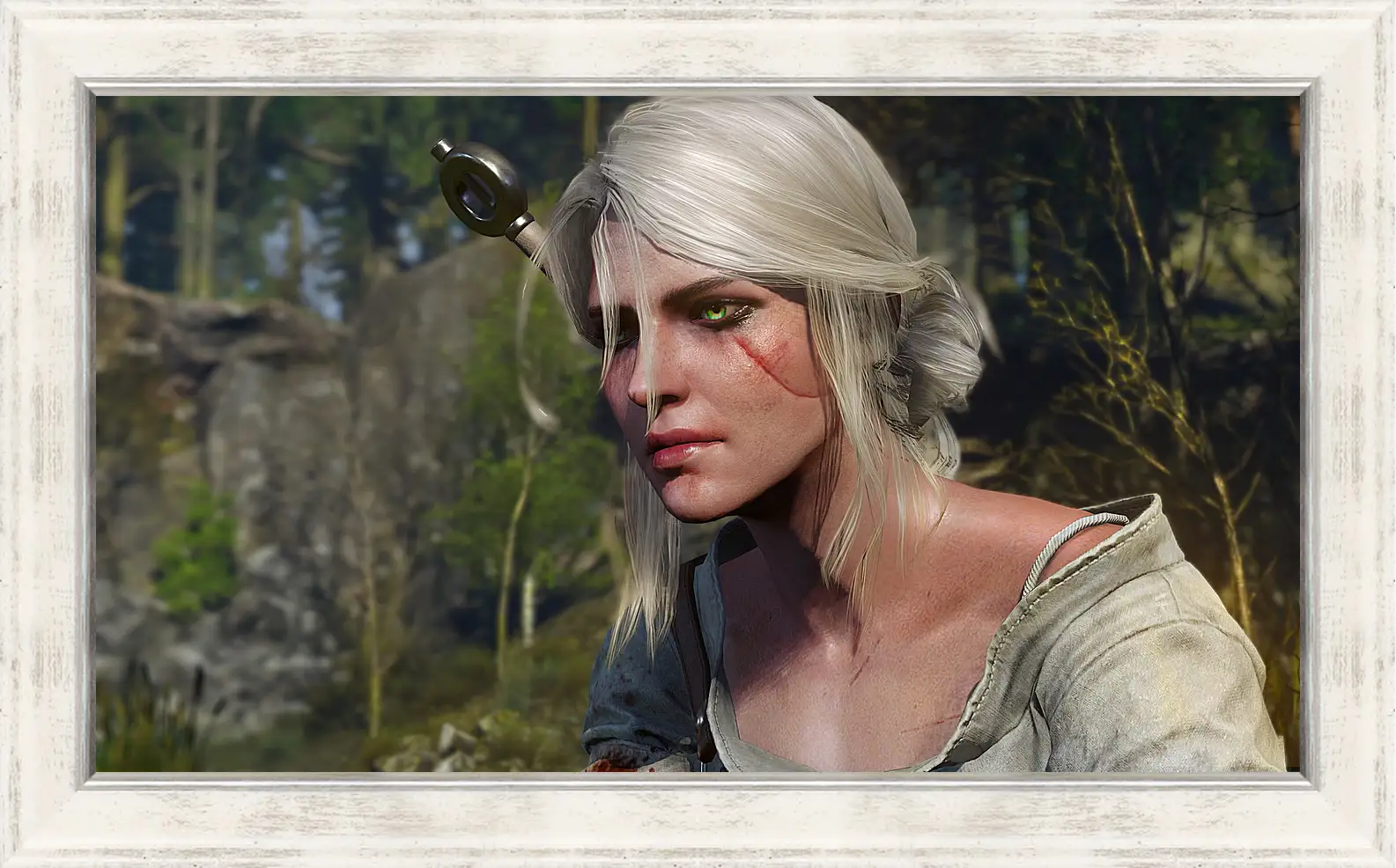 Картина в раме - The Witcher 3: Wild Hunt