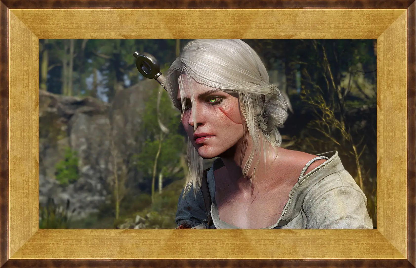 Картина в раме - The Witcher 3: Wild Hunt