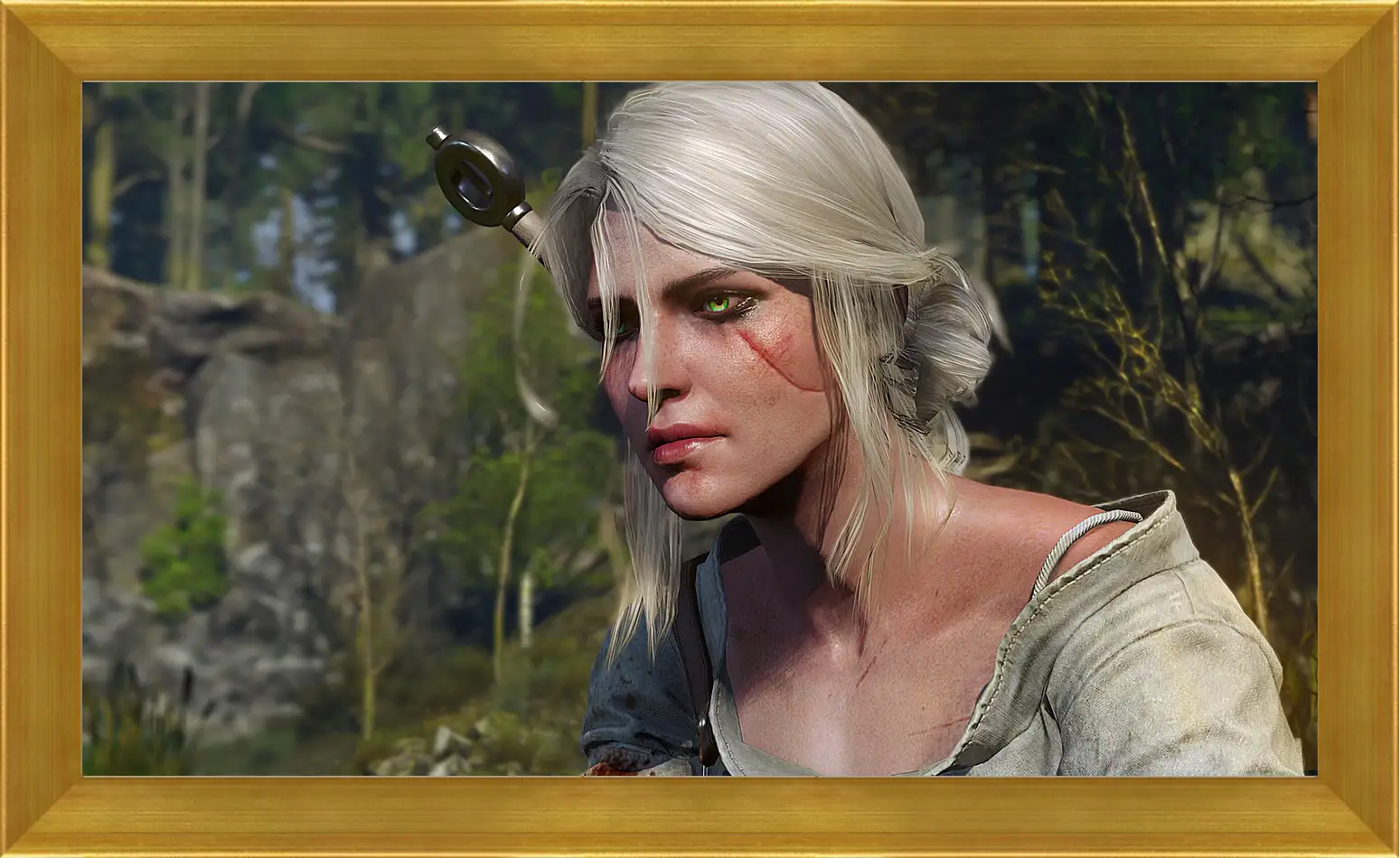 Картина в раме - The Witcher 3: Wild Hunt