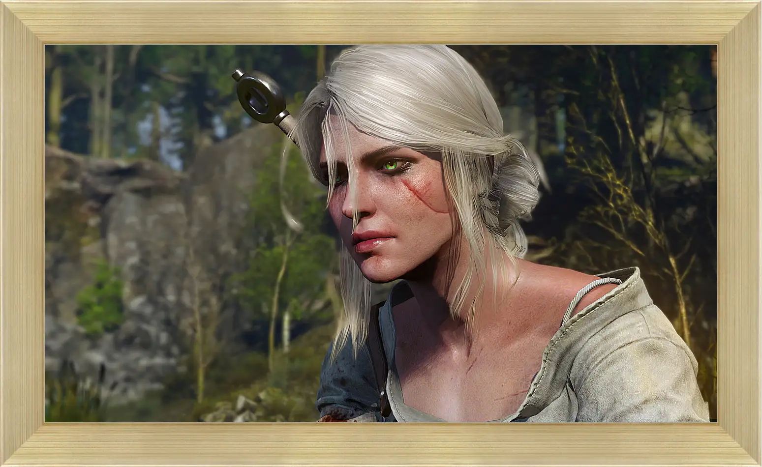 Картина в раме - The Witcher 3: Wild Hunt