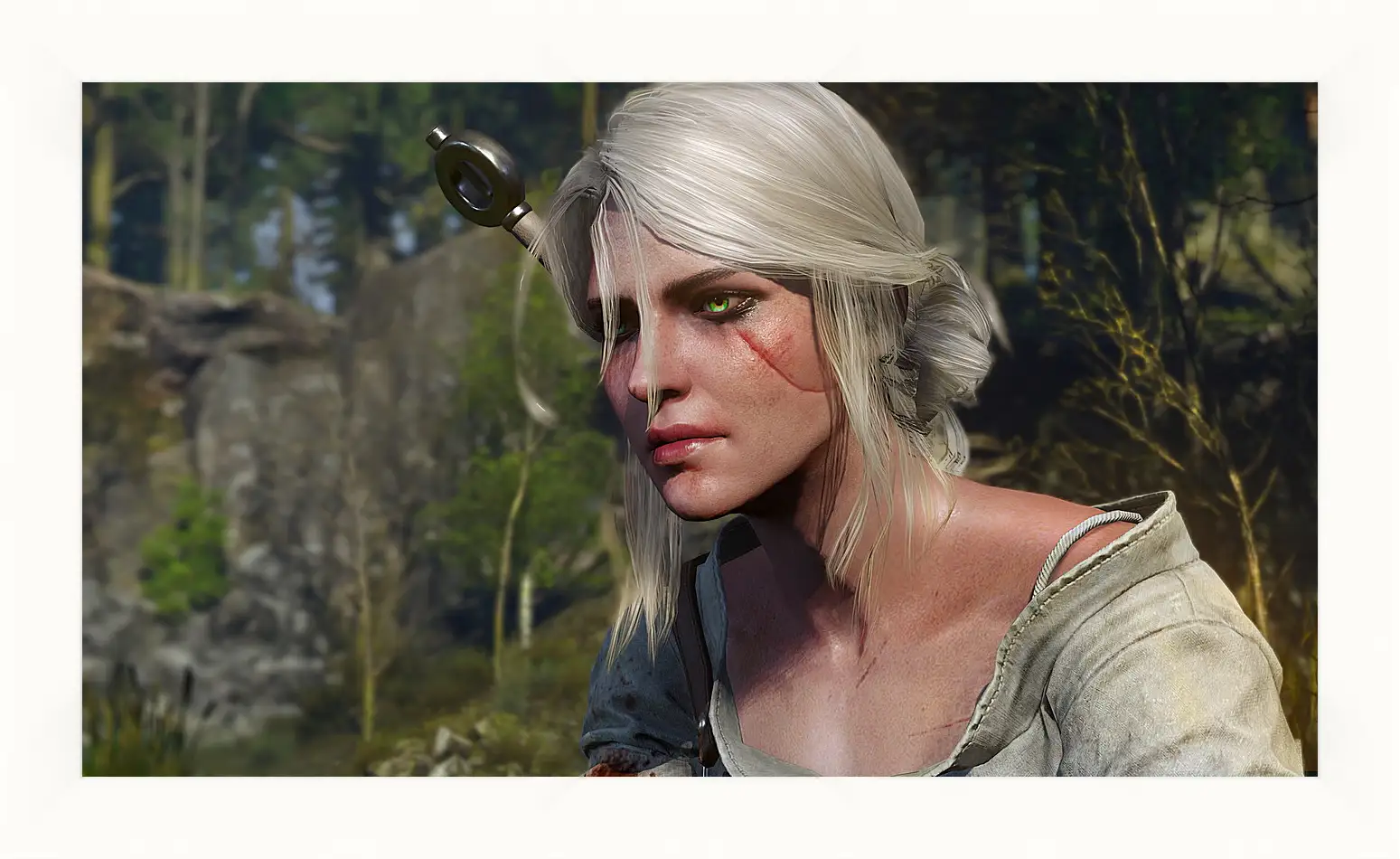 Картина в раме - The Witcher 3: Wild Hunt