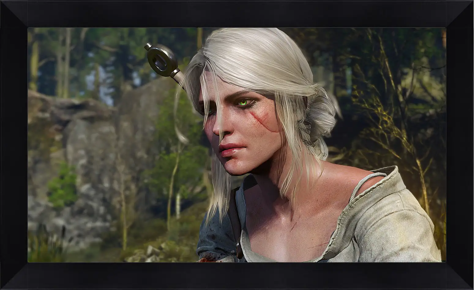 Картина в раме - The Witcher 3: Wild Hunt