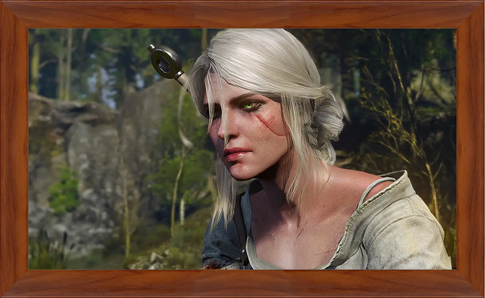 Картина в раме - The Witcher 3: Wild Hunt