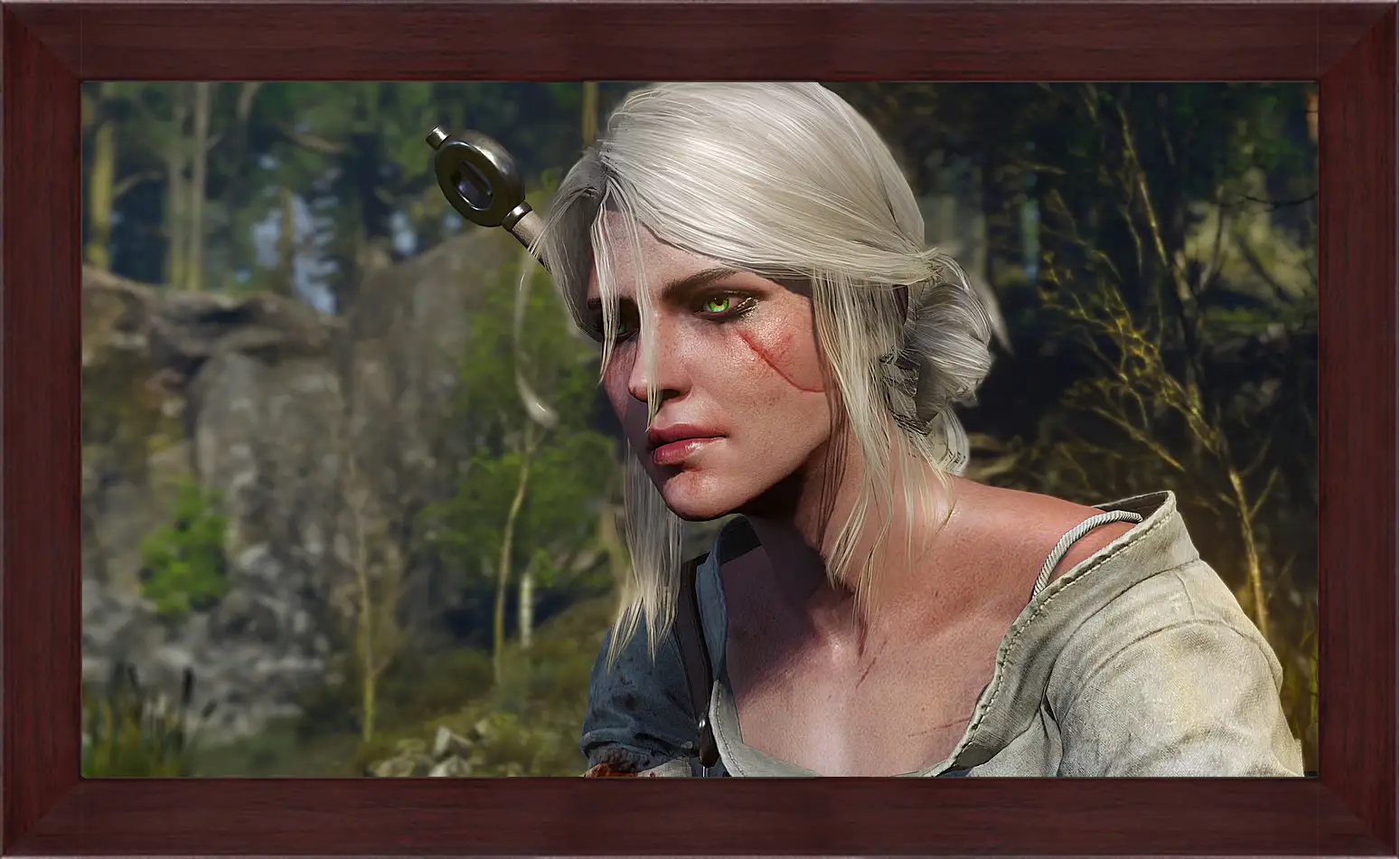 Картина в раме - The Witcher 3: Wild Hunt