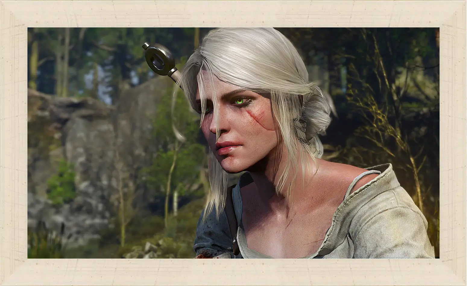 Картина в раме - The Witcher 3: Wild Hunt