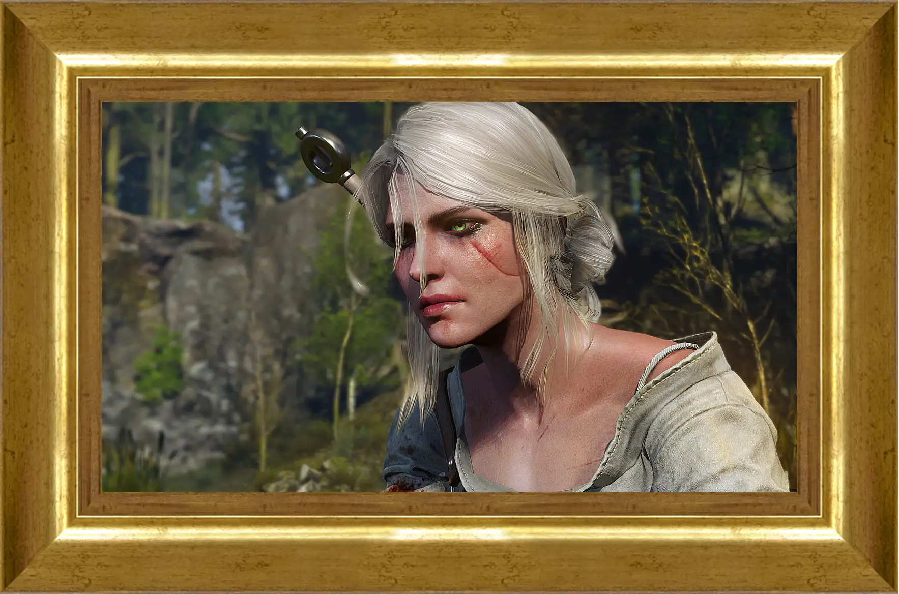 Картина в раме - The Witcher 3: Wild Hunt