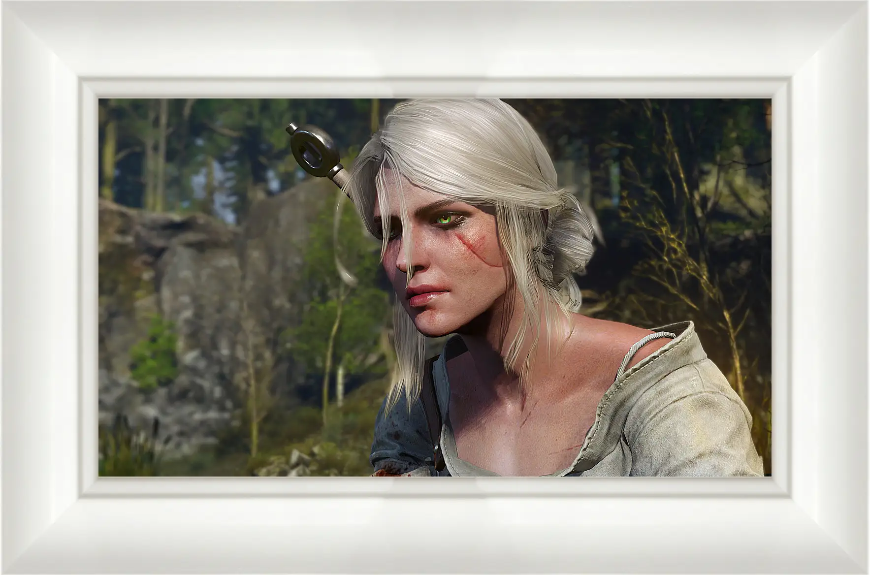 Картина в раме - The Witcher 3: Wild Hunt