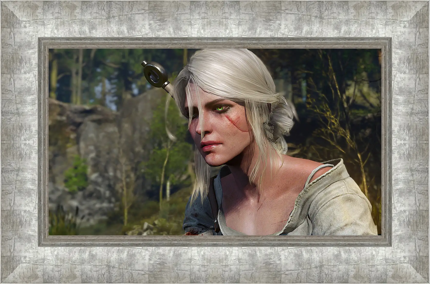 Картина в раме - The Witcher 3: Wild Hunt