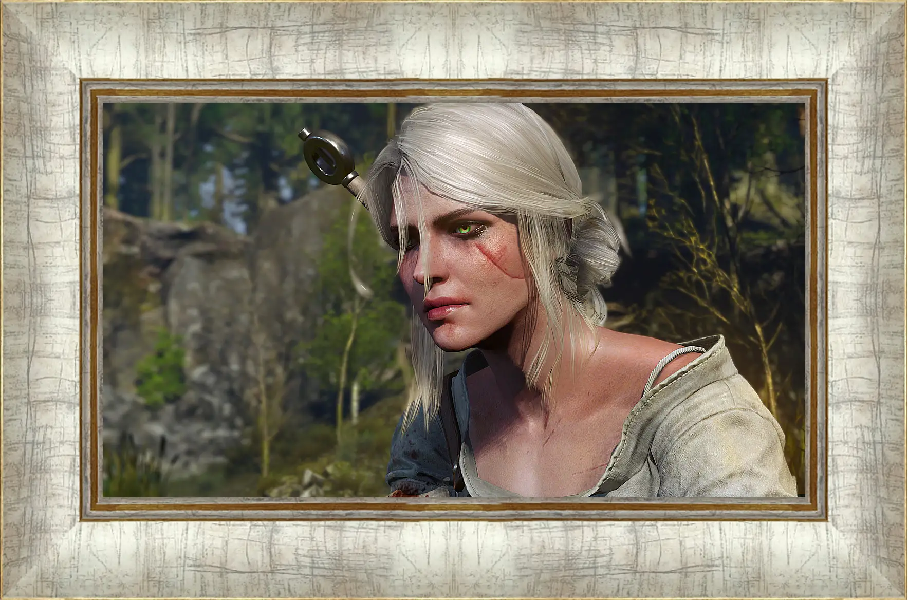 Картина в раме - The Witcher 3: Wild Hunt