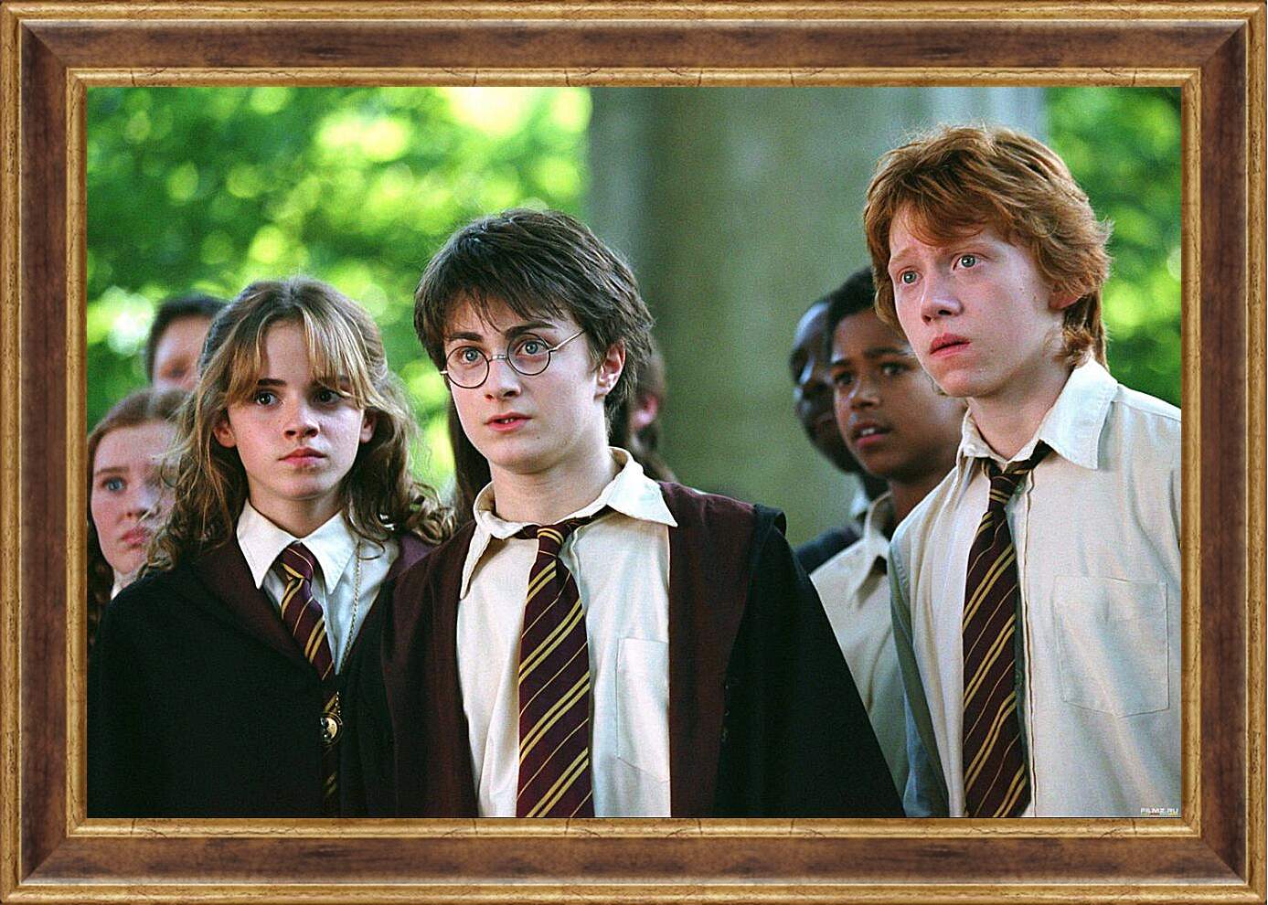 Картина в раме - Гарри с друзьями