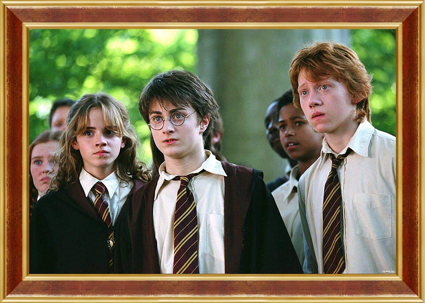 Картина в раме - Гарри с друзьями