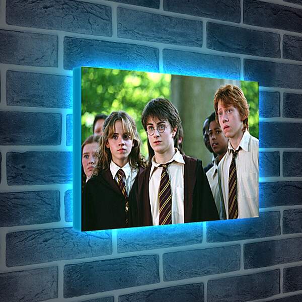 Лайтбокс световая панель - Гарри с друзьями