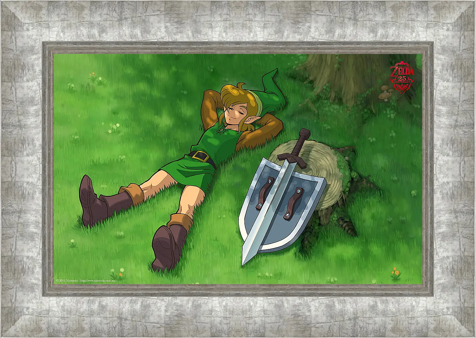 Картина в раме - Zelda
