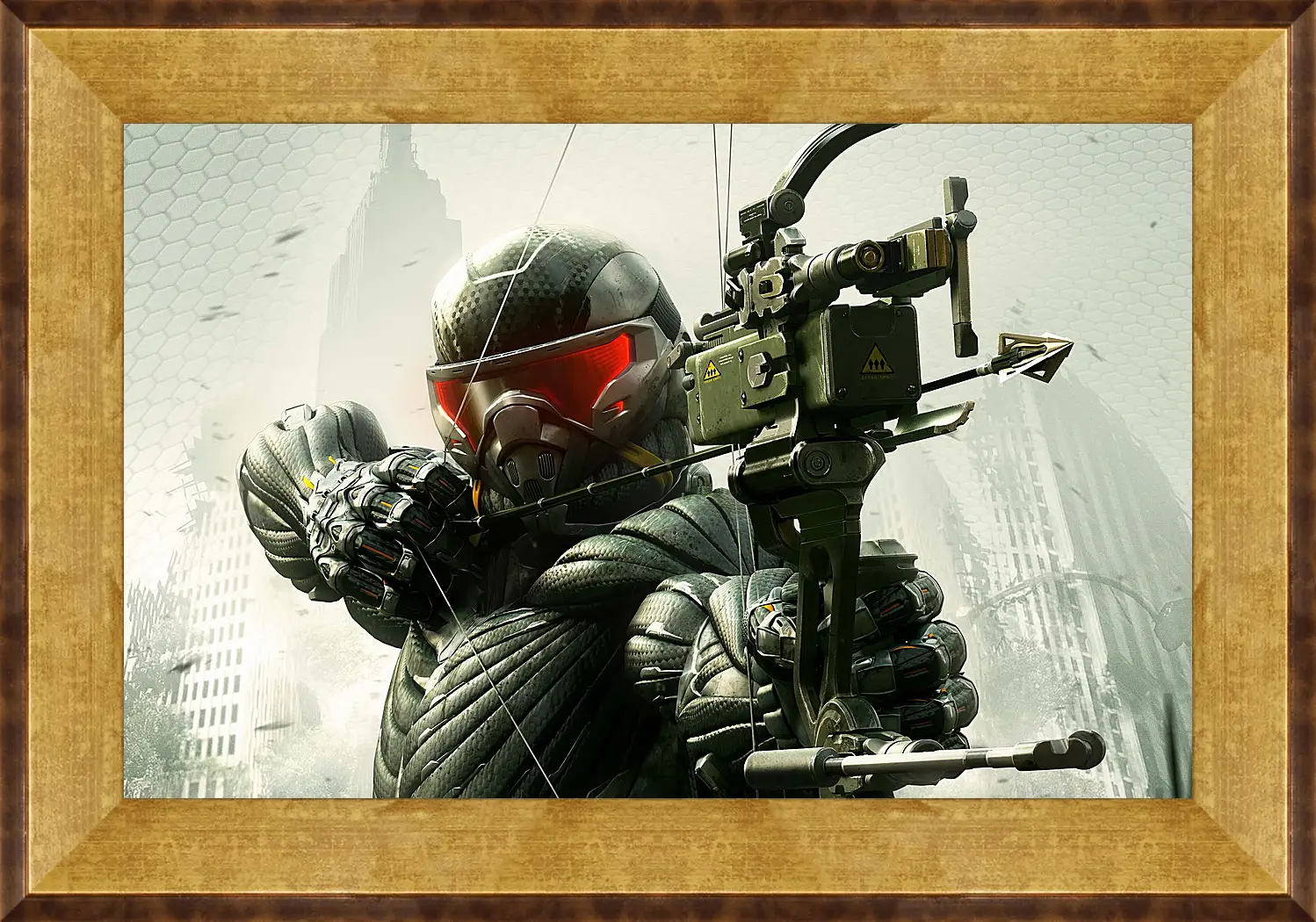 Картина в раме - Crysis 3
