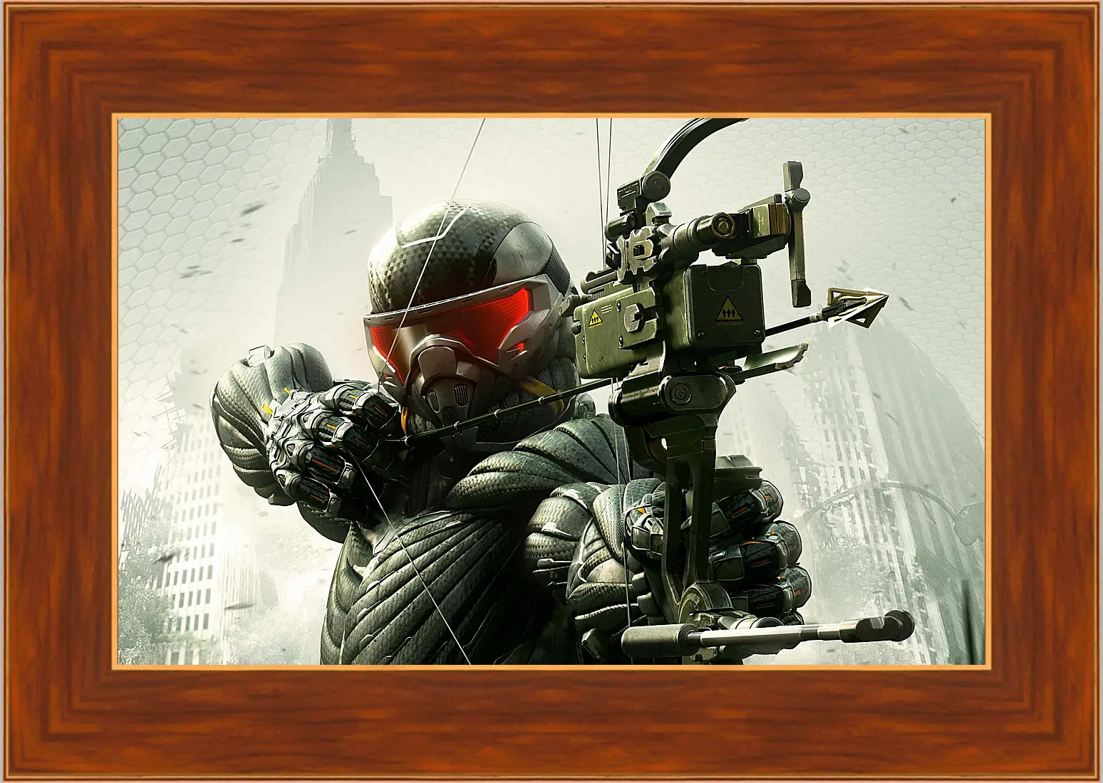 Картина в раме - Crysis 3
