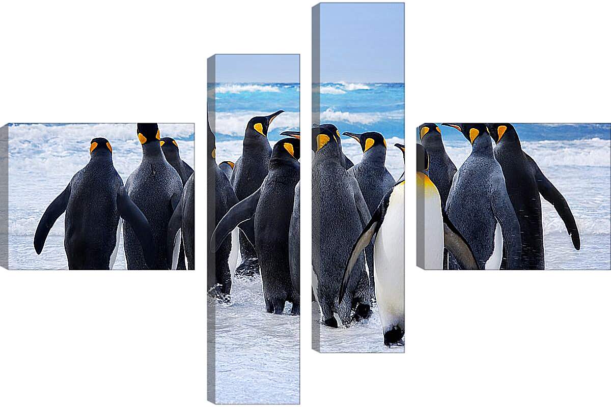 Модульная картина - Пингвины у воды
