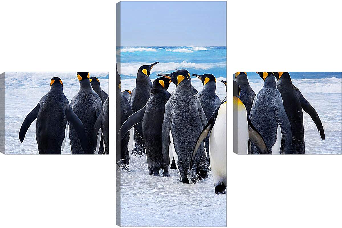 Модульная картина - Пингвины у воды