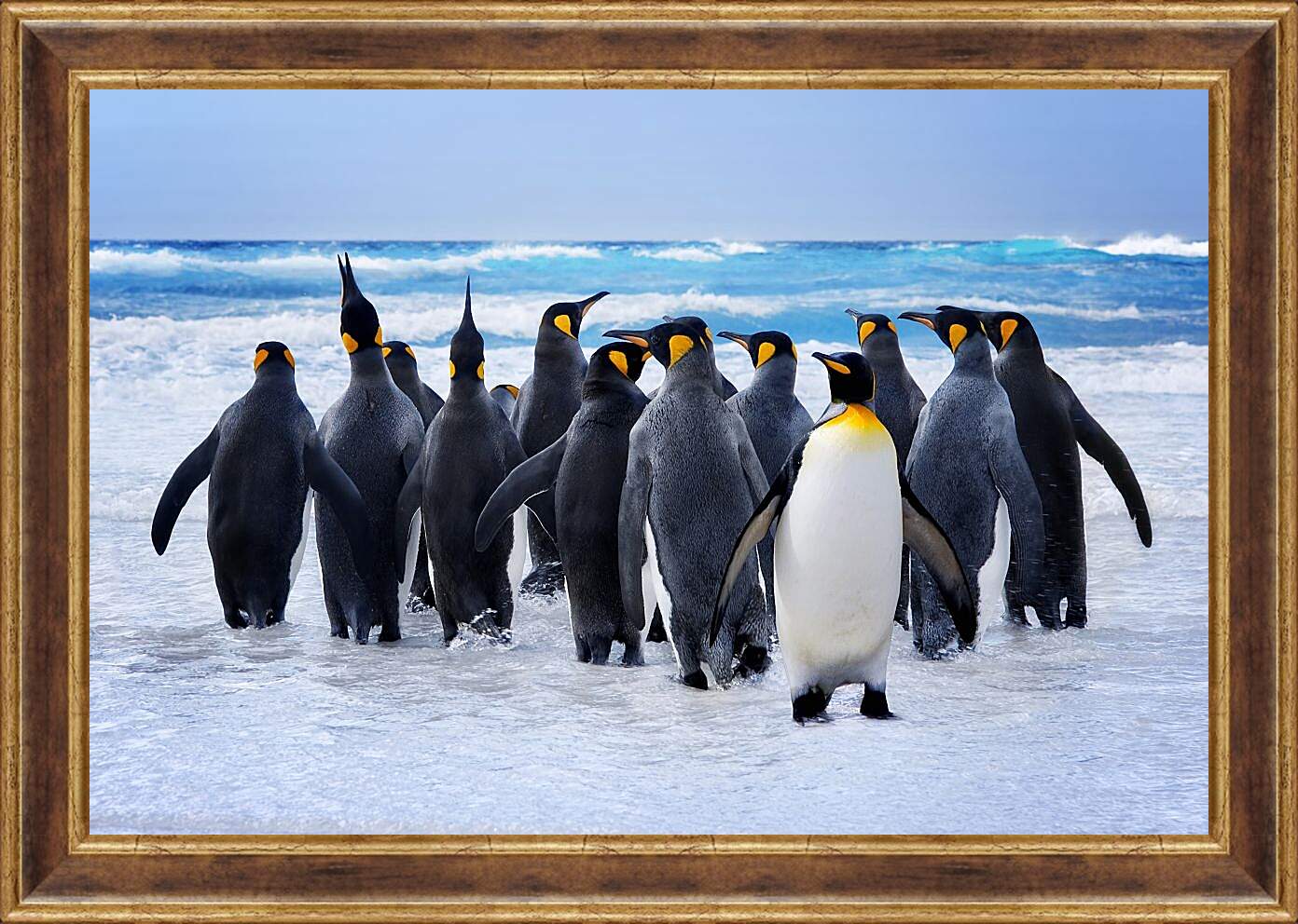Картина в раме - Пингвины у воды