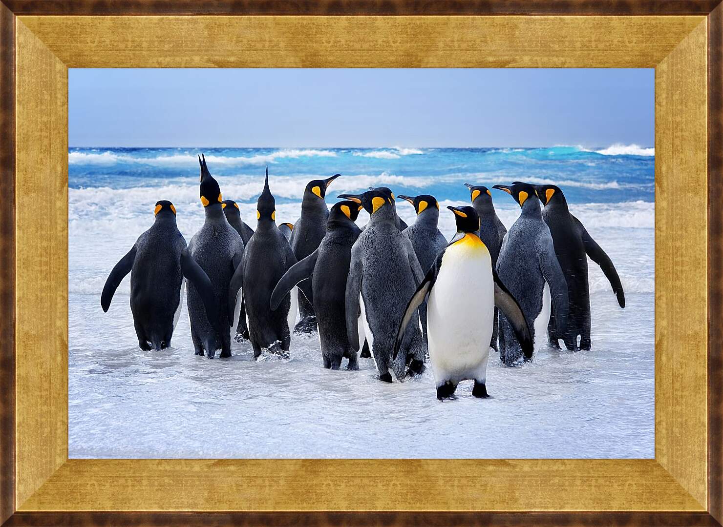 Картина в раме - Пингвины у воды