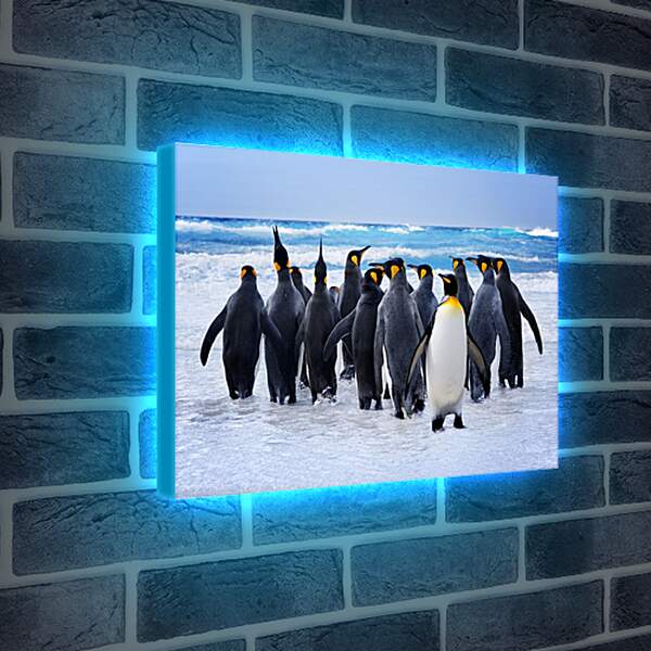 Лайтбокс световая панель - Пингвины у воды