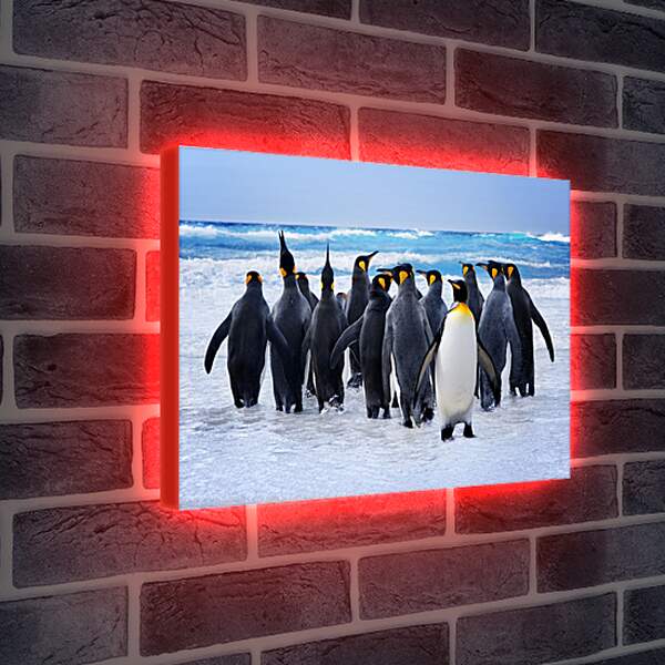 Лайтбокс световая панель - Пингвины у воды