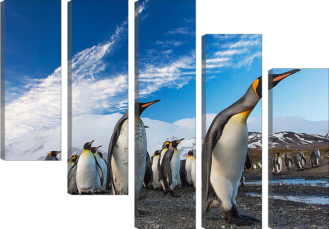 Модульная картина - Толпа пингвинов