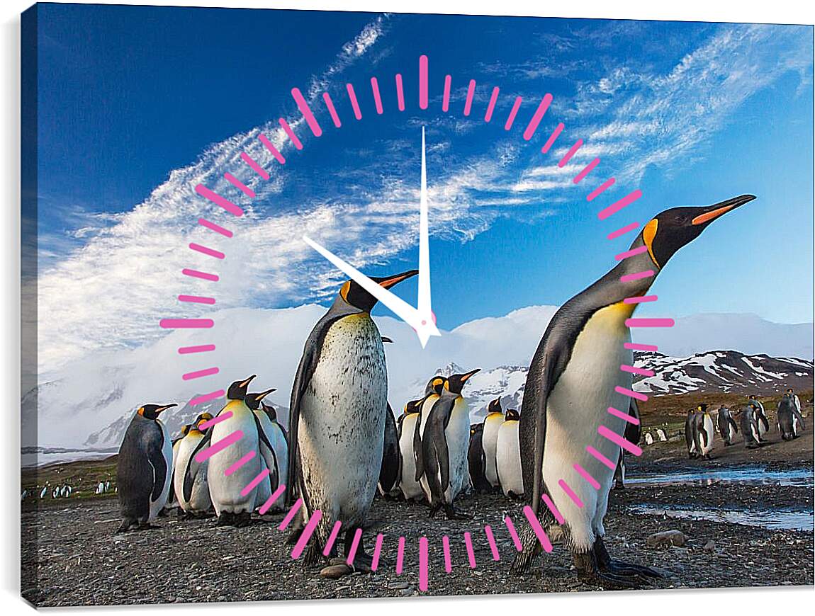 Часы картина - Толпа пингвинов